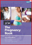 health visitor the pregnancy book