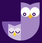 night owls logo